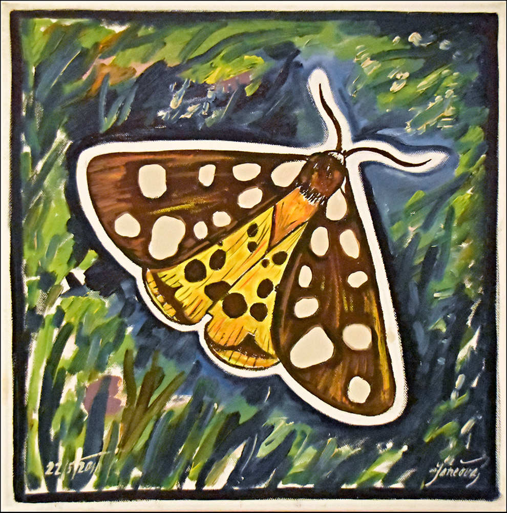 Jáněová Jaroslava